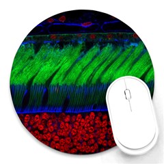 Cells Rainbow Round Mousepads