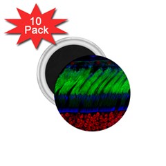 Cells Rainbow 1 75  Magnets (10 Pack)  by Mariart