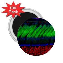 Cells Rainbow 2 25  Magnets (100 Pack) 