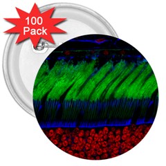 Cells Rainbow 3  Buttons (100 Pack) 