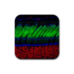 Cells Rainbow Rubber Coaster (square) 