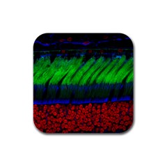 Cells Rainbow Rubber Square Coaster (4 Pack) 