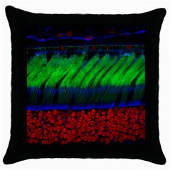 Cells Rainbow Throw Pillow Case (black)