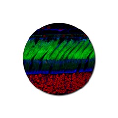 Cells Rainbow Rubber Round Coaster (4 Pack)  by Mariart