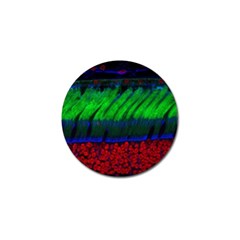 Cells Rainbow Golf Ball Marker (10 Pack)