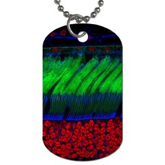 Cells Rainbow Dog Tag (two Sides) by Mariart