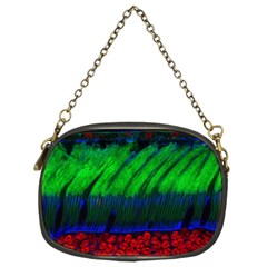 Cells Rainbow Chain Purses (two Sides) 