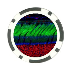 Cells Rainbow Poker Chip Card Guard (10 Pack)