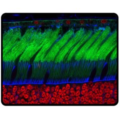 Cells Rainbow Fleece Blanket (medium) 