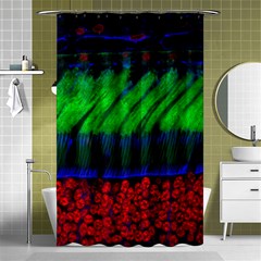 Cells Rainbow Shower Curtain 48  X 72  (small) 