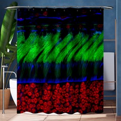 Cells Rainbow Shower Curtain 60  X 72  (medium) 