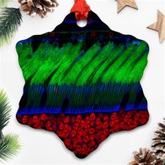 Cells Rainbow Snowflake Ornament (two Sides)