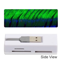 Cells Rainbow Memory Card Reader (stick) 