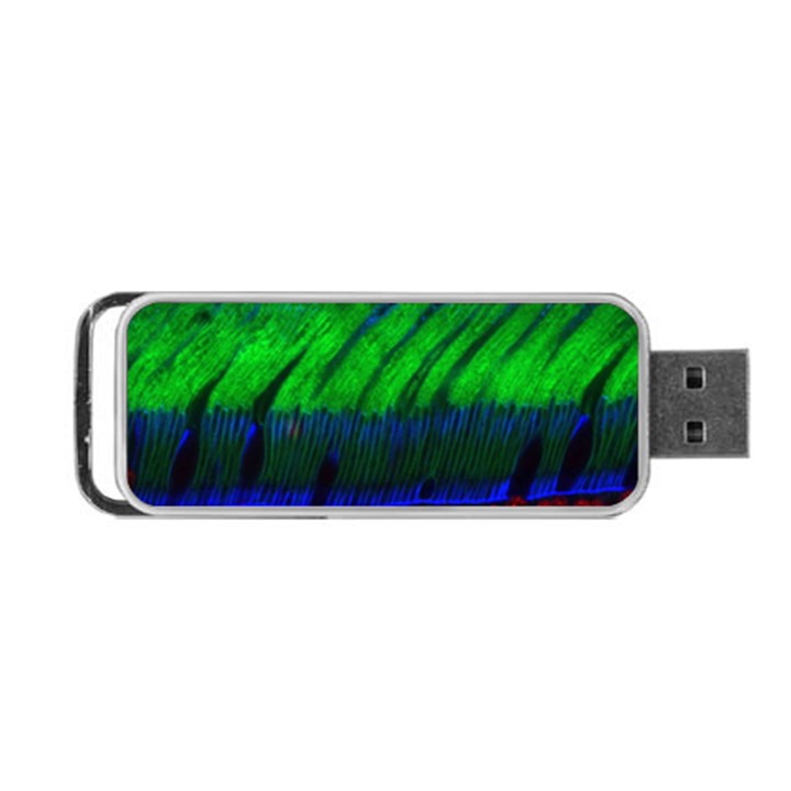 Cells Rainbow Portable USB Flash (One Side)