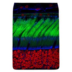 Cells Rainbow Flap Covers (l) 