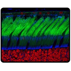 Cells Rainbow Double Sided Fleece Blanket (medium)  by Mariart