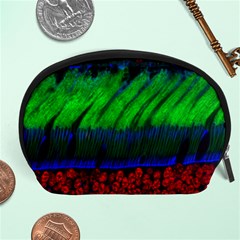 Cells Rainbow Accessory Pouches (large)  by Mariart