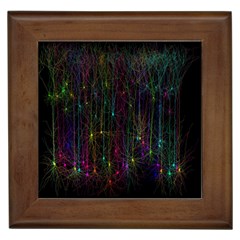 Brain Cell Dendrites Framed Tiles