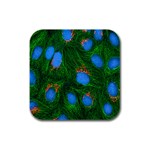 Fluorescence Microscopy Green Blue Rubber Square Coaster (4 pack)  Front