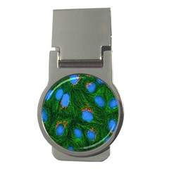 Fluorescence Microscopy Green Blue Money Clips (round) 