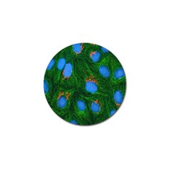 Fluorescence Microscopy Green Blue Golf Ball Marker (10 Pack)