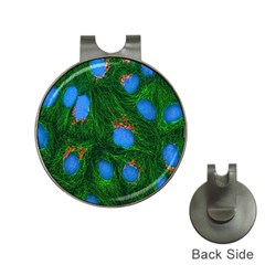 Fluorescence Microscopy Green Blue Hat Clips With Golf Markers