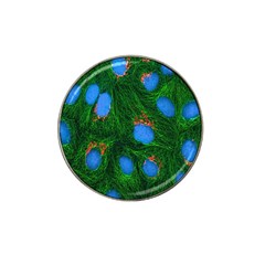 Fluorescence Microscopy Green Blue Hat Clip Ball Marker by Mariart