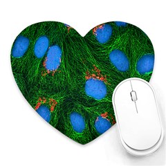 Fluorescence Microscopy Green Blue Heart Mousepads