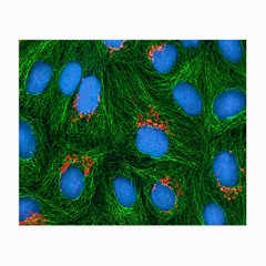 Fluorescence Microscopy Green Blue Small Glasses Cloth (2-side) by Mariart