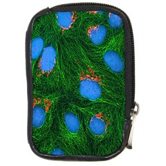 Fluorescence Microscopy Green Blue Compact Camera Cases by Mariart