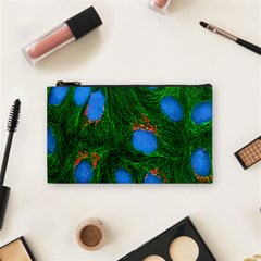 Fluorescence Microscopy Green Blue Cosmetic Bag (small)  by Mariart