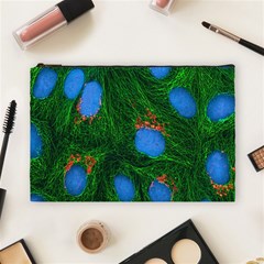 Fluorescence Microscopy Green Blue Cosmetic Bag (large)  by Mariart