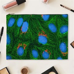 Fluorescence Microscopy Green Blue Cosmetic Bag (xl) by Mariart