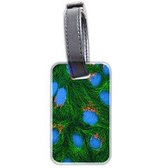 Fluorescence Microscopy Green Blue Luggage Tags (two Sides) by Mariart