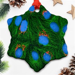 Fluorescence Microscopy Green Blue Ornament (snowflake) by Mariart