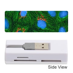 Fluorescence Microscopy Green Blue Memory Card Reader (stick) 