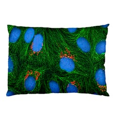 Fluorescence Microscopy Green Blue Pillow Case (two Sides) by Mariart