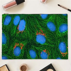 Fluorescence Microscopy Green Blue Cosmetic Bag (xxl) 