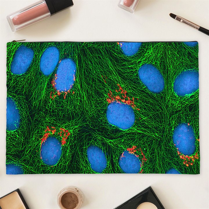 Fluorescence Microscopy Green Blue Cosmetic Bag (XXL) 