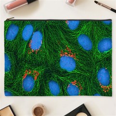 Fluorescence Microscopy Green Blue Cosmetic Bag (xxxl)  by Mariart