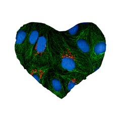 Fluorescence Microscopy Green Blue Standard 16  Premium Heart Shape Cushions