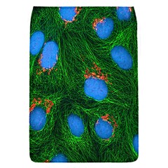 Fluorescence Microscopy Green Blue Flap Covers (s)  by Mariart