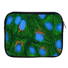 Fluorescence Microscopy Green Blue Apple Ipad 2/3/4 Zipper Cases