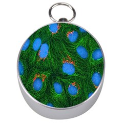 Fluorescence Microscopy Green Blue Silver Compasses by Mariart