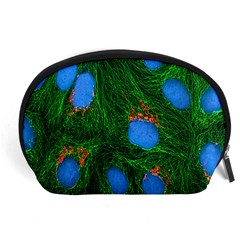 Fluorescence Microscopy Green Blue Accessory Pouches (large)  by Mariart