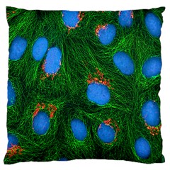 Fluorescence Microscopy Green Blue Standard Flano Cushion Case (two Sides) by Mariart