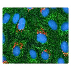 Fluorescence Microscopy Green Blue Double Sided Flano Blanket (small) 