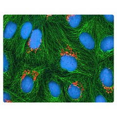 Fluorescence Microscopy Green Blue Double Sided Flano Blanket (medium)  by Mariart