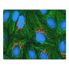 Fluorescence Microscopy Green Blue Double Sided Flano Blanket (large)  by Mariart