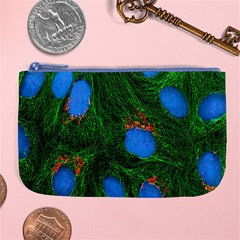 Fluorescence Microscopy Green Blue Large Coin Purse